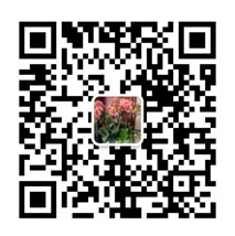 掃一掃查看更多